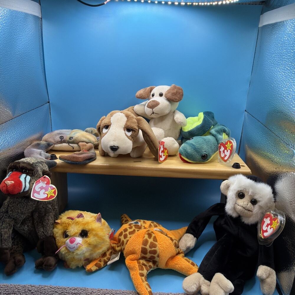 Ty Beanie Baby Lot & 2 Other Brands. 8 In The Lot